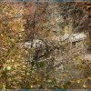 IMG_7581